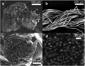  filato conduttivo per indumenti termoelettrici
