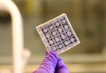 Nuovo filato conduttivo per indumenti termoelettrici