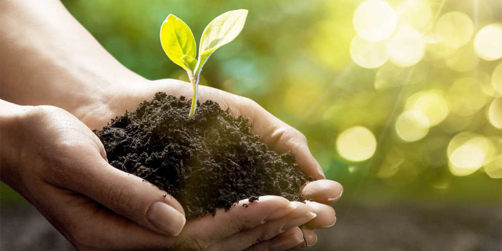 Imballaggi bio-based