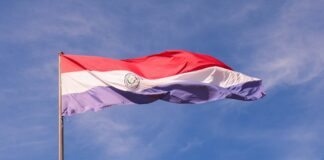 Anie Confindustria Paraguay