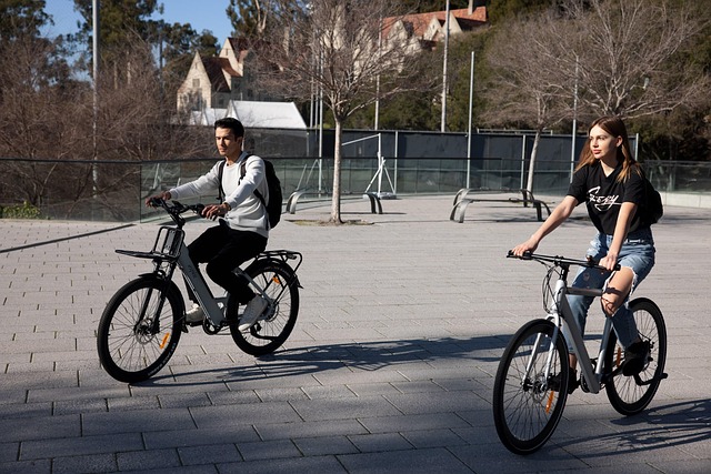 u_d7hddm5o-bike-ride-6950834_640 e-bike Fortune Business Insights