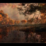 57f4e246243c621114288ec6930ee62e