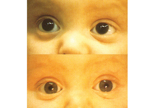 Le lenti a contatto di Contact Color lenti a contatto