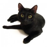 congiuntiviti_allergiche_2