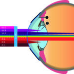 Eye_Transmission_clear