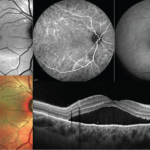 Schermata 2018-10-15 alle 10.50.57