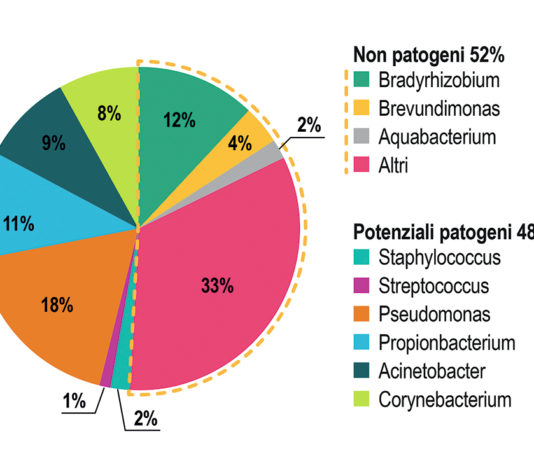 caratterizzazione della popolazione batterica