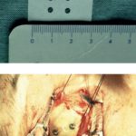 eye_doctor_2020_02.indd