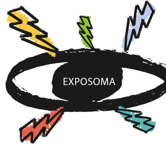 Exposoma