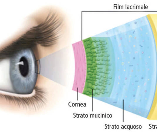 Film lacrimale.