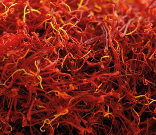 Crocine, cianidine e cumarina nel trattamento delle patologie retiniche