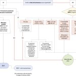 Fig. 11 Diagramma per la scelta della IOL.