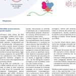 Fig. 2 Il processo di biogenesi dei microRNA.