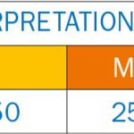Fig. 3A Interpretazione TFSE.