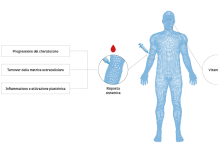 Effetti della vitamina D somministrata per via sistemica.