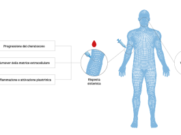 Effetti della vitamina D somministrata per via sistemica.
