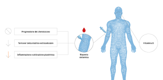 Effetti della vitamina D somministrata per via sistemica.