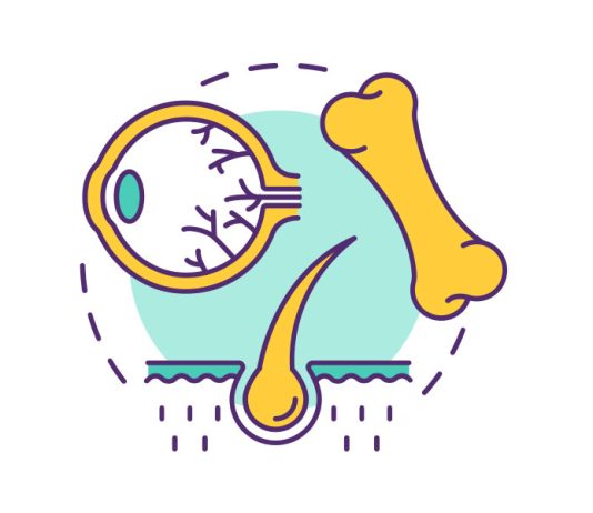 Donazione e trapianto di tessuti, 2024 miglior anno di sempre