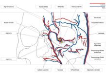 L’evoluzione dell’osteotomia nella dacriocistorinostomia