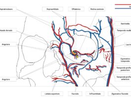L’evoluzione dell’osteotomia nella dacriocistorinostomia