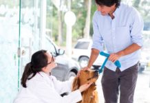 Perché aumentano i medicinali veterinari autorizzati in Europa