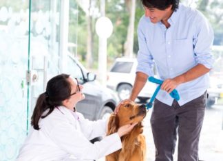 Perché aumentano i medicinali veterinari autorizzati in Europa