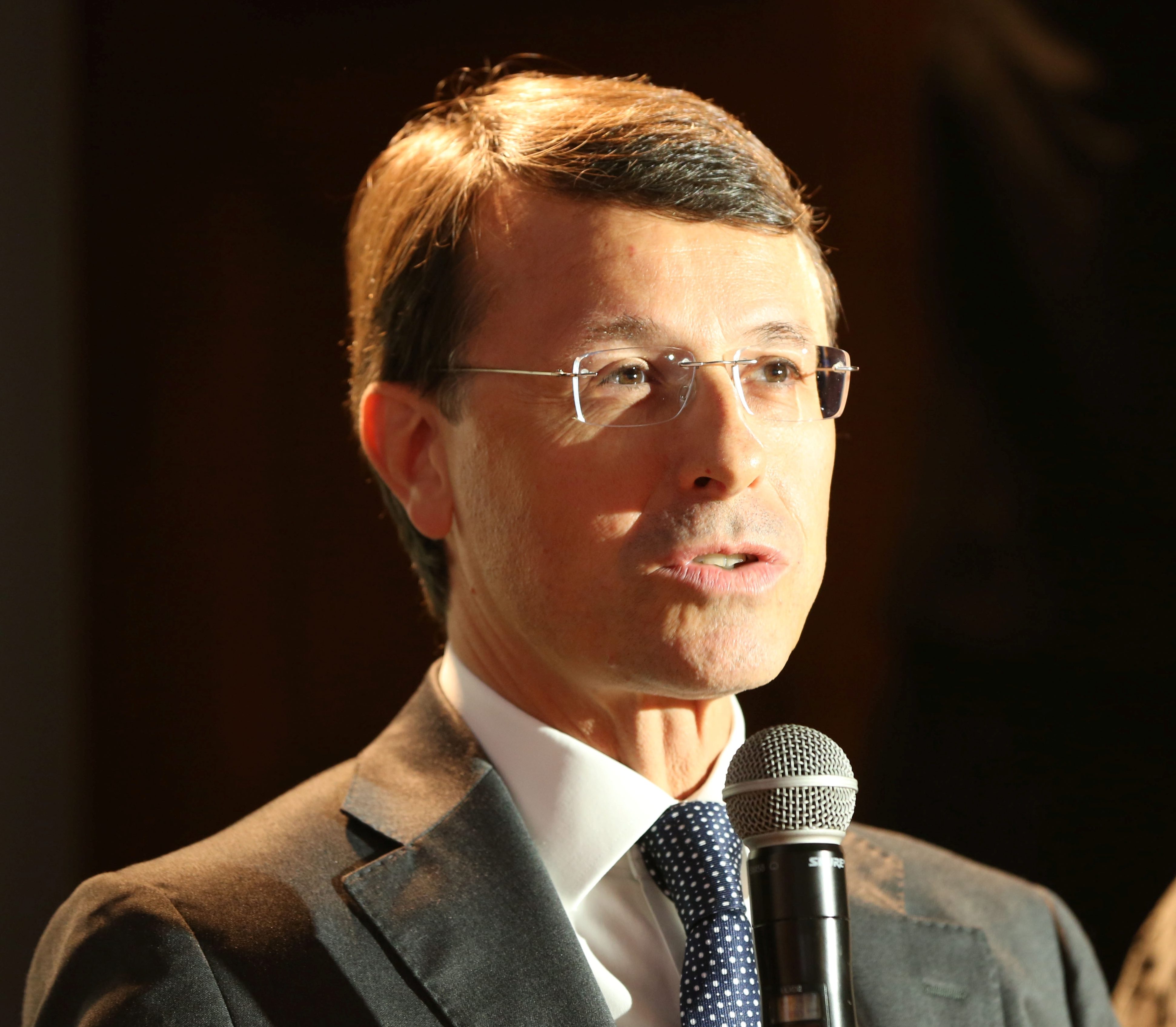 Andrea Mandelli