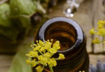 L’aiuto dei fiori di Bach per le patologie odontoiatriche