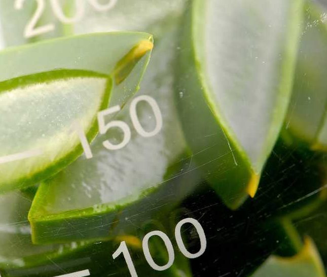 aloe