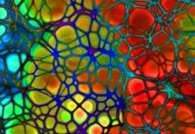 Malattia venosa cronica: soluzioni galeniche utili nel trattamento