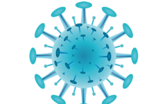 Fake news in tempo di Covid-19, una guida per fare chiarezza Guida Covid-19