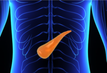 Farmaci GLP-1 e pancreatite: le indicazioni SID per una gestione senza allarmismi Pancreas