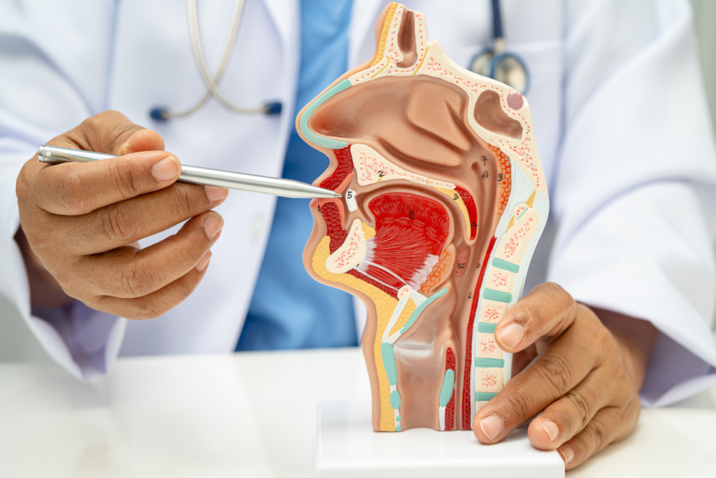 L’intesa punta a far divenire la farmacia comunale un presidio avanzato di educazione alla salute odontoiatrica, facendo leva sulla presenza capillare delle oltre 1.600 farmacie comunali