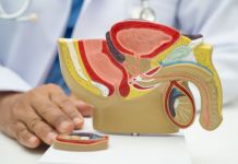 Infezioni delle vie urinarie: sintomi e supporto in farmacia IVU: gestione e consigli in farmacia