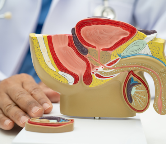 Infezioni delle vie urinarie: sintomi e supporto in farmacia IVU: gestione e consigli in farmacia