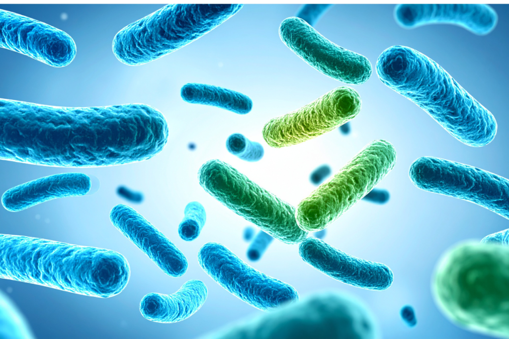 I sinbiotici sono stati definiti come una miscela composta da organismo vitali e un substrato utilizzato selettivamente dai microrganismi dell’ospite, conferendo un effetto benefico per la salute.