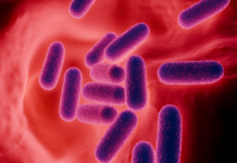 I biotici: facciamo chiarezza sui loro vantaggi e sulle indicazioni per il farmacista I biotici: facciamo chiarezza sui loro vantaggi e sulle indicazioni per il farmacista