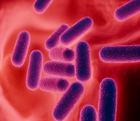 I biotici: facciamo chiarezza sui loro vantaggi e sulle indicazioni per il farmacista I biotici: facciamo chiarezza sui loro vantaggi e sulle indicazioni per il farmacista