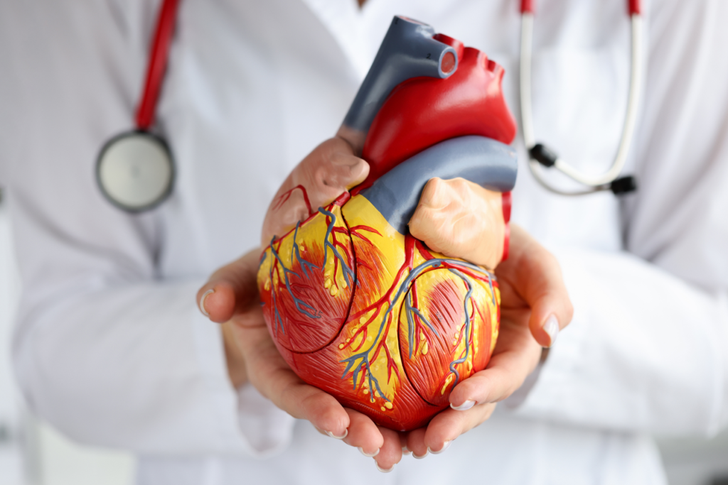 Tra le indicazioni d’uso della TAO la più diffusa è la fibrillazione atriale: l’aritmia più diffusa tra adulti e anziani: