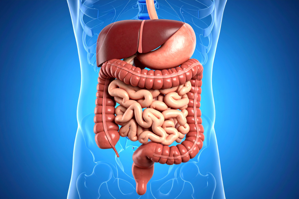 Il benessere intestinale traina il mercato dei probiotici, pari al 37,1% a valore e al 38,7% a volumi
