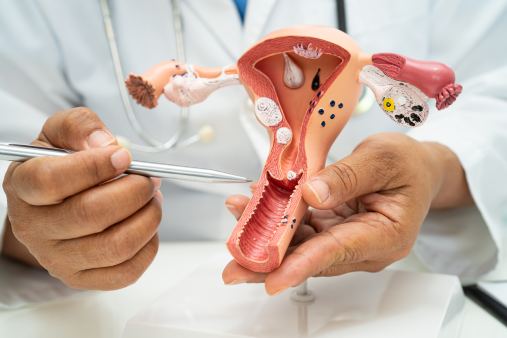 L'ambito ginecologico, sebbene i numeri restino ancora contenuti - 3,5% a valore e 2,6% a volumi - è il comparto di maggiore crescita dell’intera categoria: +23,8% a fatturato e +24% a confezioni