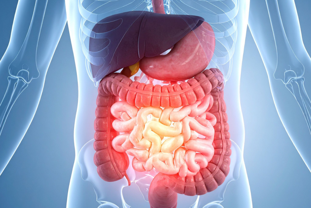 Le allergie alimentari sono reazioni avverse agli alimenti di natura immunologica, le intolleranze invece non dipendono da meccanismi immunomediati, sono spesso dose-dipendenti e la loro sintomatologia può essere influenzata da fattori individuali, come la velocità di svuotamento gastrico, il microbiota intestinale e lo stato infiammatorio della mucosa intestinale.