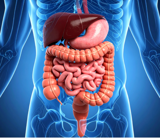 IBS e intestino irregolare: quale fibra scegliere? IBS e intestino irregolare