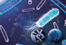 Una soluzione per il trattamento delle infezioni del sito chirurgico