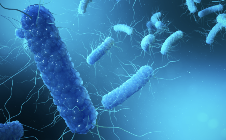 Antibioticoresistenza, una nuova arma contro i super batteri