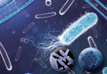 Mucine, barriere intelligenti contro i patogeni