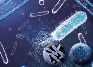 Mucine, barriere intelligenti contro i patogeni