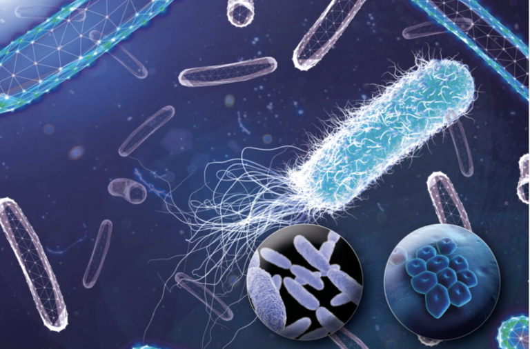Clostridium butyricum utile nel migliorare risposta a nivolumab e ipilimumab