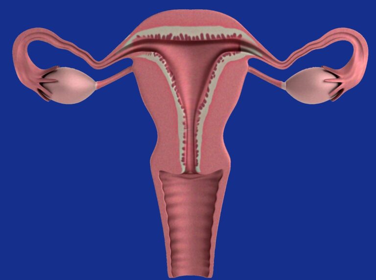 Tumore dell’ovaio, servono più test genetici