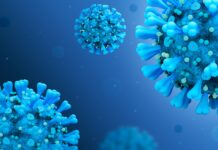 Long Covid, studio internazionale rivela un locus di rischio